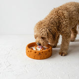 A curly-haired golden dog drinking from an orange ceramic bowl on a textured white surface, with neutral ceramic bowls and vases in the background.