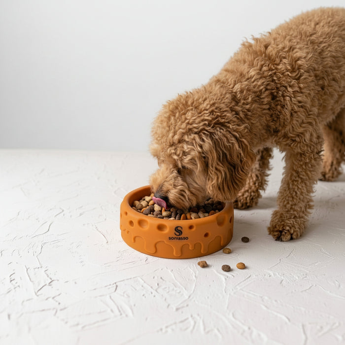 Somasso™ GripGuard Bowl